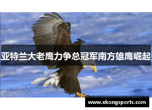 亚特兰大老鹰力争总冠军南方雄鹰崛起